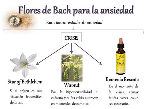 Mapa Gu A De Flores De Bach Para La Ansiedad Artesanum