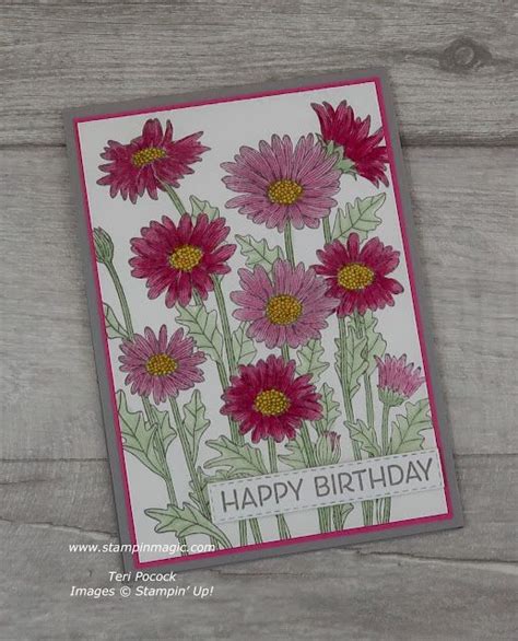 Stampin Up Uk Demonstrator Teri Pocock Daisy Garden Birthday