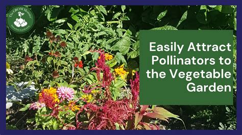 Easily Attract Pollinators To The Vegetable Garden The Grow Monster