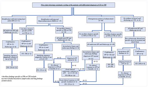 Flow Chart Showing Systematic Computed Tomography Download