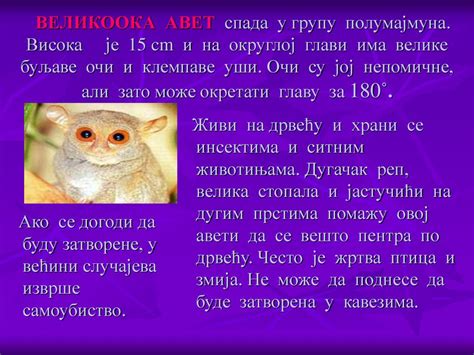 ЖИВОТИЊЕ НЕОБИЧНОГ ИЗГЛЕДА - ppt скинути