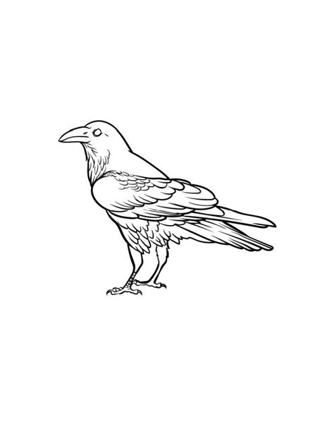 20 Easy Crow Drawing Ideas How To Draw Crow Blitsy