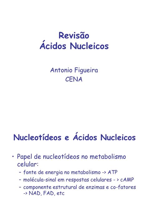 Pdf Revisao Acidos Nucleicos Dokumen Tips