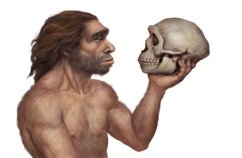 Homo Longi Extinct Human Species That May Replace Neanderthals As Our Closest Relatives Found