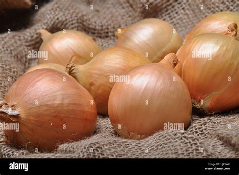 Onions Sack Hi Res Stock Photography And Images Alamy