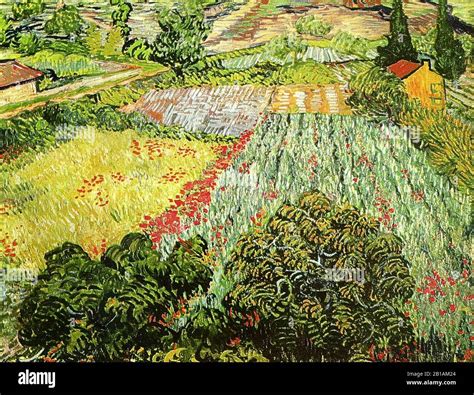 Field With Poppies 1889 Painting By Vincent Van Gogh Very High