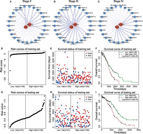 Frontiers Dynamic Tf Lncrna Regulatory Networks Revealed Prognostic