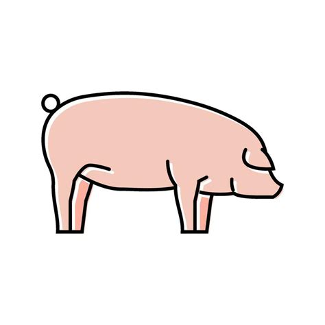 Landrace Pig Breed Color Icon Vector Illustration 35274053 Vector Art