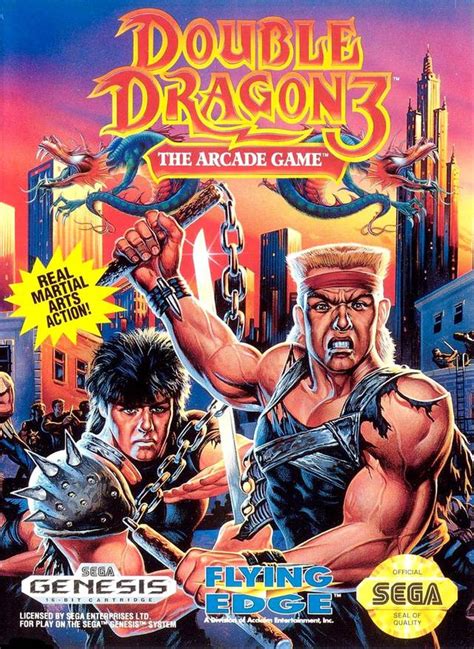 Double Dragon 3 Arcade Hardcore Gaming 101