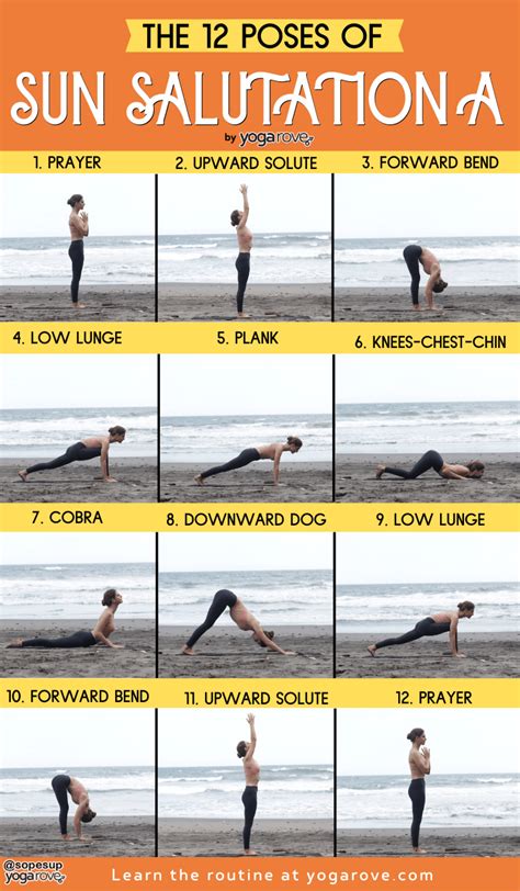 How to Do the 12 Poses of Sun Salutation for Beginners - Yoga Rove