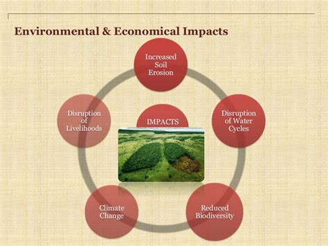 Deforestation: Causes, Effects and Solutions