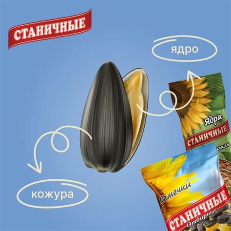 Чем ядра подсолнечника отличаются от семян подсолнечника? 樂 Всё до ...