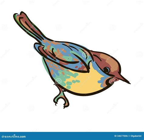 Bird Drawings In Color | Amazing Wallpapers