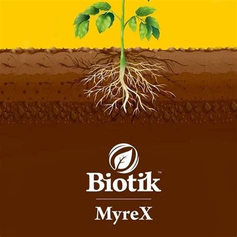 Vesicular Arbuscular Mycorrhiza Vam Bio Fertilizer For Agriculture