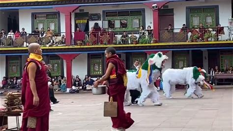 Tibetan Snow Lion Dancerumtekgangtok Youtube