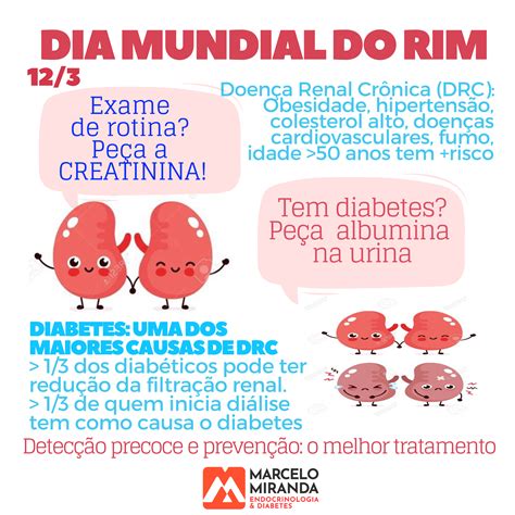 12 de Março DIA MUNDIAL DO RIM Dr Marcelo Miranda Endocrinologia