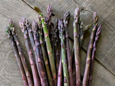 Pacific Purple Asparagus Crowns