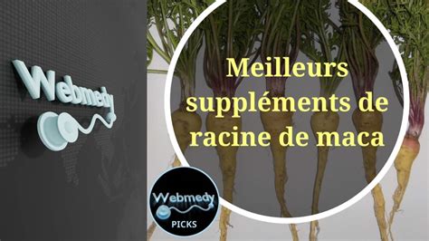 Meilleur Suppl Ment De Racine De Maca Pour Poudre De Racine De