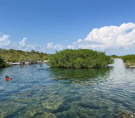 Is Akumal Mexico Safe To Travel To Right Now 2024 Update