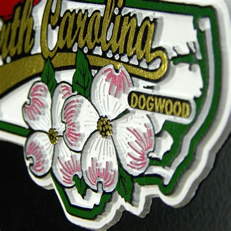 south dakota state flower blooms are earlier than usual this year 20