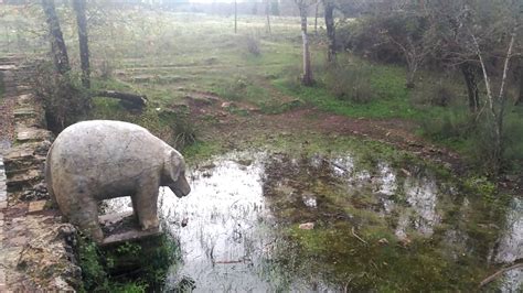 Fuente Del Elefante C Rdoba Youtube