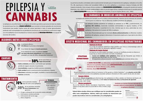 O Uso De Cannabis No Controle Da Epilepsia Cultlight