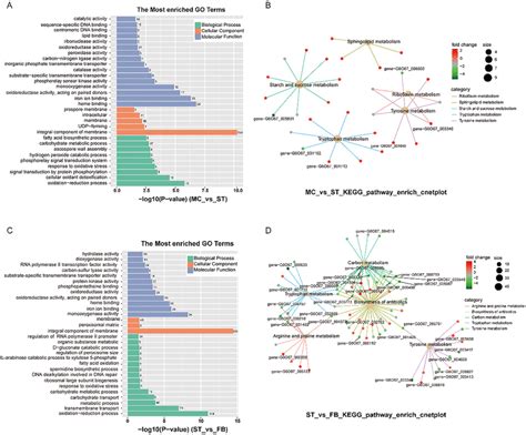 Gene Ontology And Kegg Pathway Enrichment Of Degs A The Most