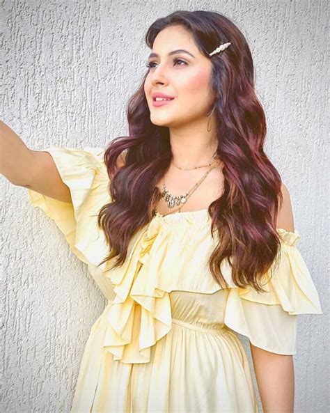 Bigg Boss 13 Fame Shehnaaz Gills Latest Photoshoot Will Set Your Heart