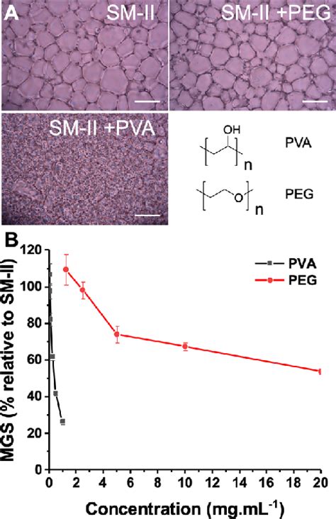 Ice Recrystallization Inhibition Activity Of Polymers In Sm Ii Buffer