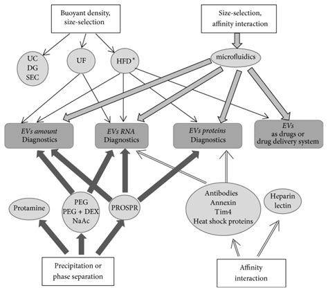 Isolation of Extracellular Vesicles: General Methodologies and Latest ...