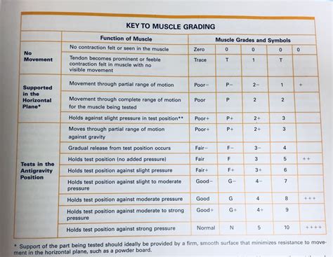 Kendall Mmt Muscle Grades Kinesiology Muscle Grade