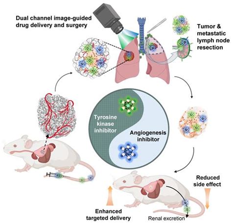 Image Guided Drug Delivery Of Nanotheranostics For Targeted Lung Cancer