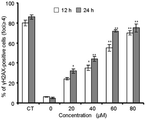 Berberine Induces Apoptosis And Dna Damage In Mg Human Osteosarcoma