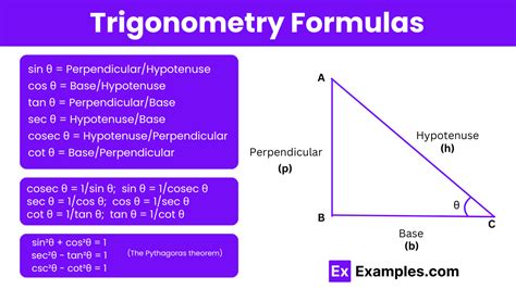 Trigonometry Definition Formulas Ratios Identities Pdf