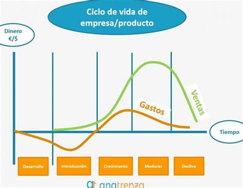 Tipos De Ciclo De Vida Descubre Cuáles Existen Y Cómo Aplicarlos