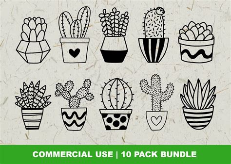 Cactus Svg Succulent Svg Pack Masterbundles