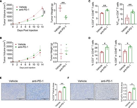 Tumor Volume And Tumor Weight In Mc38 Tumor Model A And Ct26 Tumor