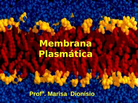 PPT Membrana Plasmática Prof ª Marisa Dionísio A membrana celular é