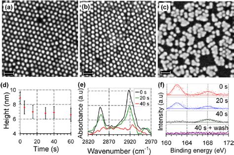 Representative Fesem Images Of D Arrays Of Gold Nanoparticles On A