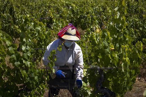 Quinta Da Alorna Vinhos De Portugal