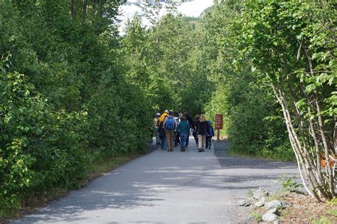 Exit Glacier Naturalist Hike | Exit Glacier Guides