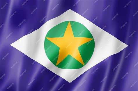 Bandeira Do Estado De Mato Grosso Brasil Acenando A Coleção Da