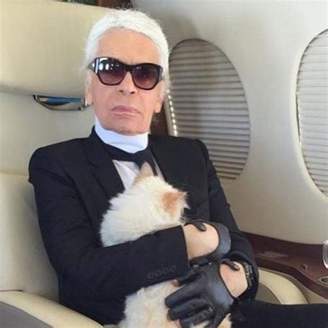 Karl Lagerfeld S Beloved Cat Choupette Celebrates Birthday On Private Jet