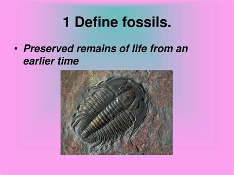 Fossils Defined Types Of Fossils Fossilization Mass