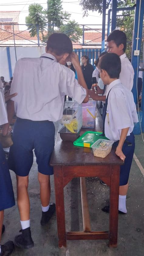 Hari Cinta Puspa Dan Satwa Nasional Smp Strada Bhakti Utama