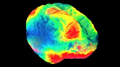 Qué Nos Enseña La Neurociencia Sobre El Placer Y Por Qué Podemos Desear Algo Que No Nos Gusta