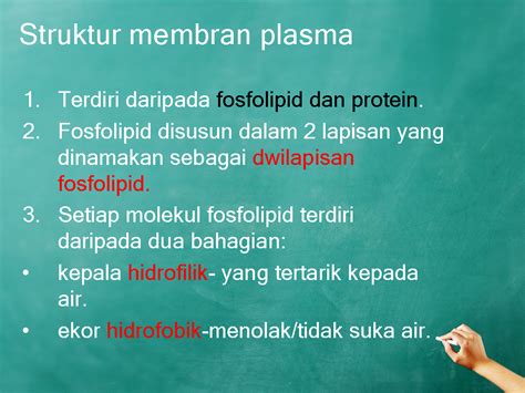 Blog Cikgu Bio Bab 3 Pergerakan Bahan Merentas Membran Plasma