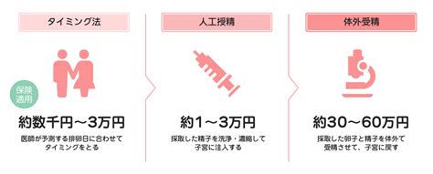 不妊治療の平均費用はいくら？保険は適用？助成金と医療費控除｜不妊治療net