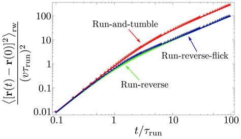 Mean Squared Displacement MSD The Curves Of The Normalized MSD