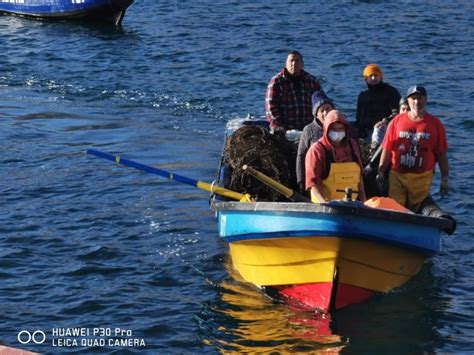 Región De Antofagasta Pescadores De Caleta Cifuncho Diversifican Sus